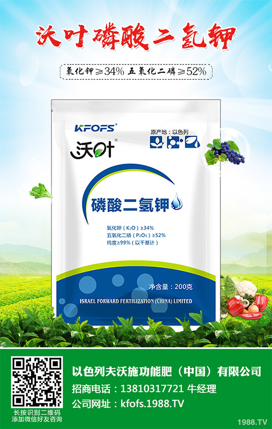 �۲˲���������ЩΣ����ԓ��η������۲˲�������Σ���c����