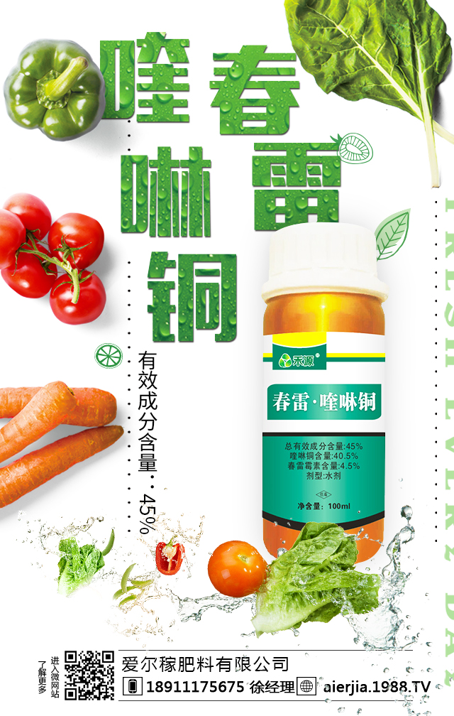 ��(��i)���ڷ������޹�˾