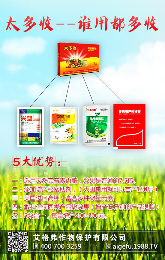 ���۵ķNֲҪ������Щ�����۵ķNֲҪ�c��