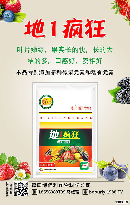 �����仨�����ʲôԭ������������������ʩ��