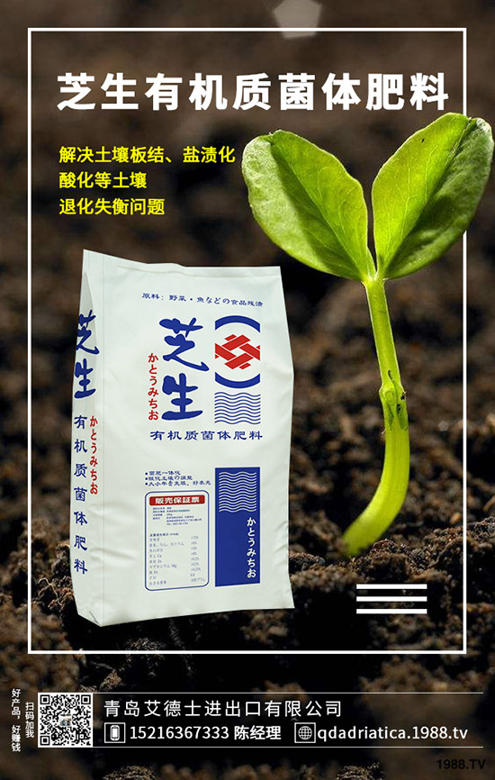 ��������Щ�I(y��ng)�B(y��ng)�r(ji��)ֵ�����ҵĹ�Ч�c������ʲô������xُ(g��u)��