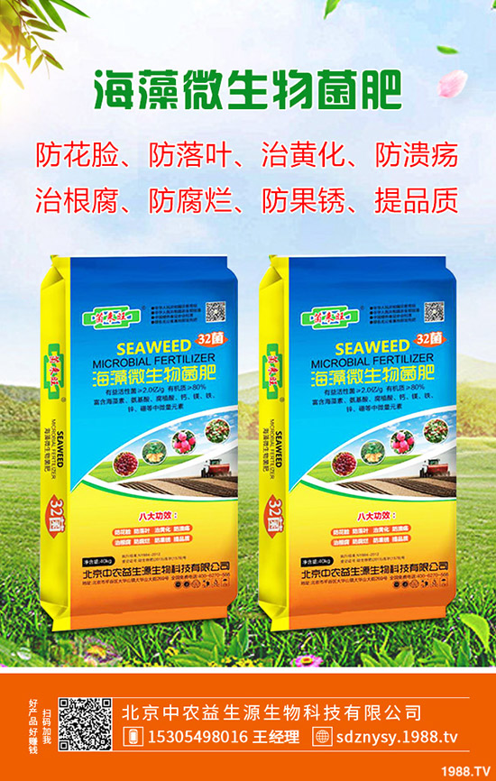     2020�����Nֲ�R������g(sh��)Ҫ�c(di��n)����δ�ѿ��ע�����(xi��ng)����Щ��