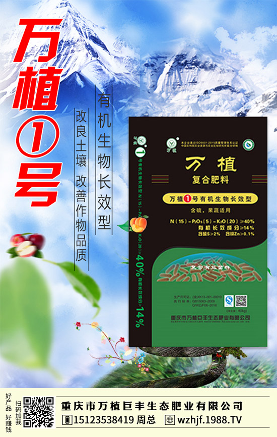     �R����ĩ�����@�Ј��������f������2020-1-4�������¶��@�r�������