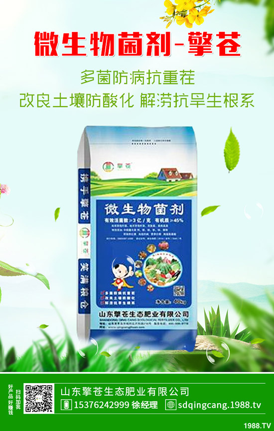 2020年1月4日春節(jié)前磷銨價(jià)格上!最新磷酸一銨價(jià)格早報(bào)!