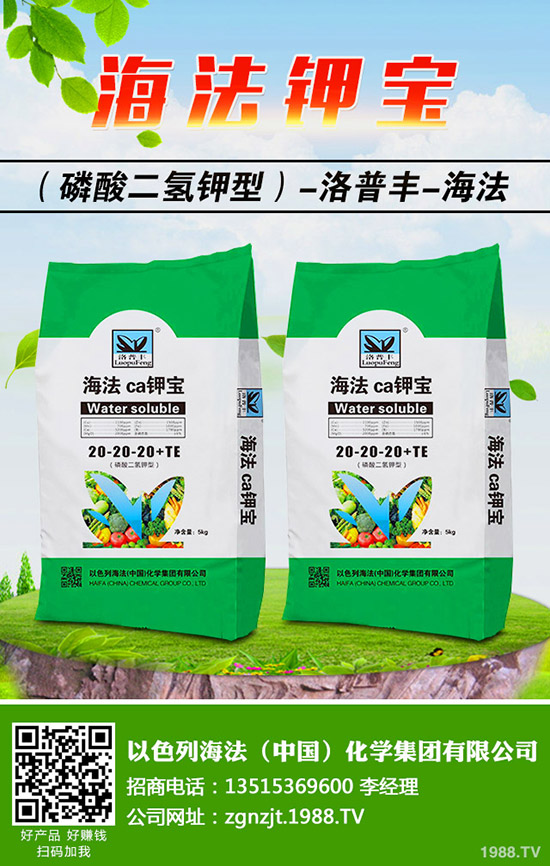 �������ö�������޼�����䶬���޼��ĕr�g��������