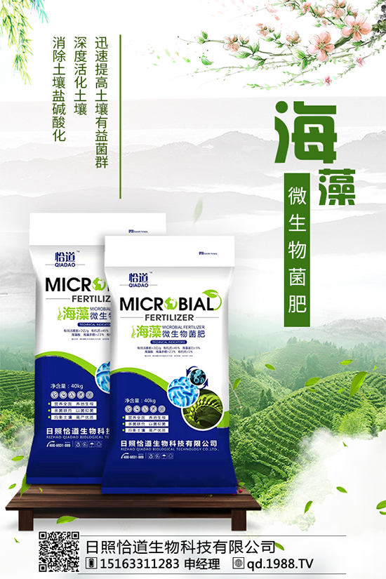     ��������Щ�I(y��ng)�B(y��ng)�r(ji��)ֵ����������ʲô��̎��