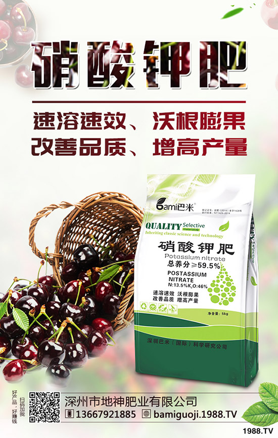 �t������r(sh��)�g��ʲô�r(sh��)�򣿼t�����緽������Щ��