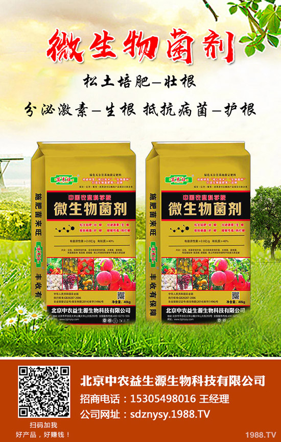 春季葡萄如何催芽?催芽用什么藥?葡萄催芽注意事項(xiàng)及管理技巧!