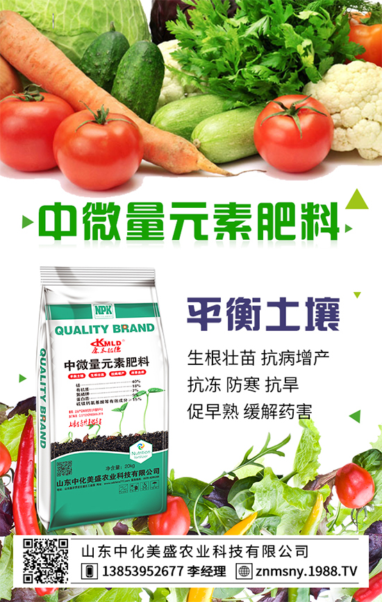 ������ݮ��ô�ܣ�������ݮ������ʩ��