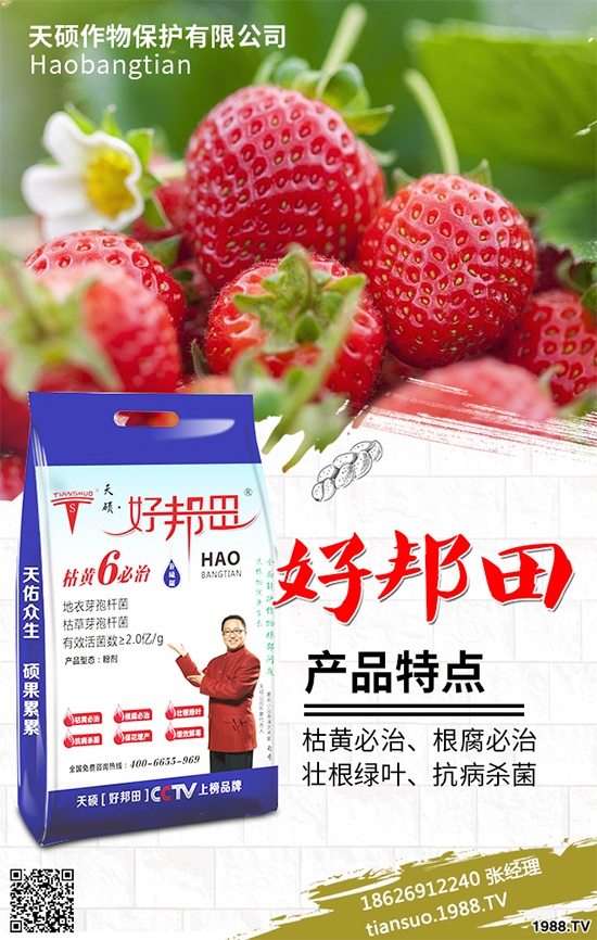 �����Ϲ�ԓ��ηNֲ�������Ϲϴ���Nֲ���g(sh��)