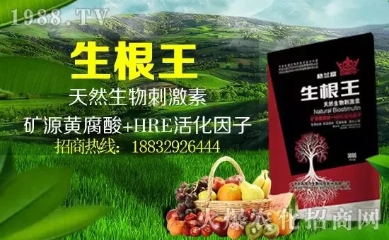 С���q�r(ji��)����(g��)�e��(b��o)�r(ji��)���^2500Ԫ/����