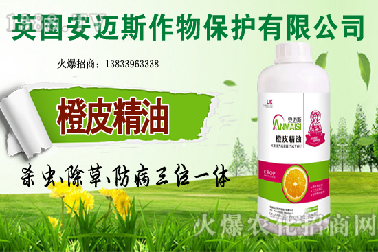 10月種植哪些蔬菜更合適?田間管理要重點抓好哪幾點?