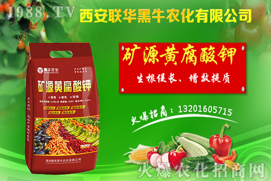 �＾����ԓ��ι������＾������푪(y��ng)������Ĵ��`�^(q��)��