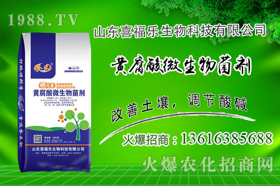 �����r��(w��n)��ƫ����2020��10��14�ջ����r���������