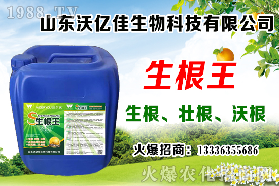 Ӱ푲�ݮ��ѿ�ֻ���������Щ����ݮ��ѿ�ֻ����c��ֲ����Ҫ�c��