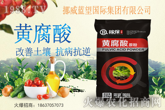 青花菜的采收標準是什么?如何正確采收青花菜?