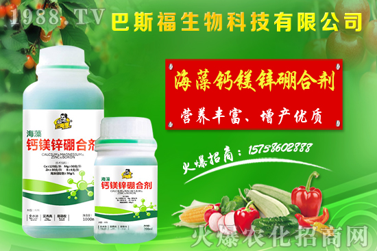     節(jié)后麥市流通偏少，小麥價格整體偏強運行！