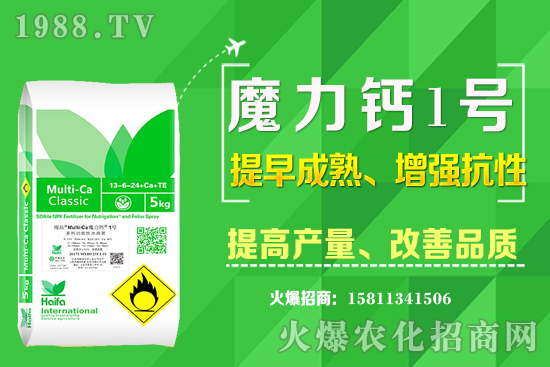 十月下旬適合種植什么中藥材?哪些中藥材賺錢收益高?