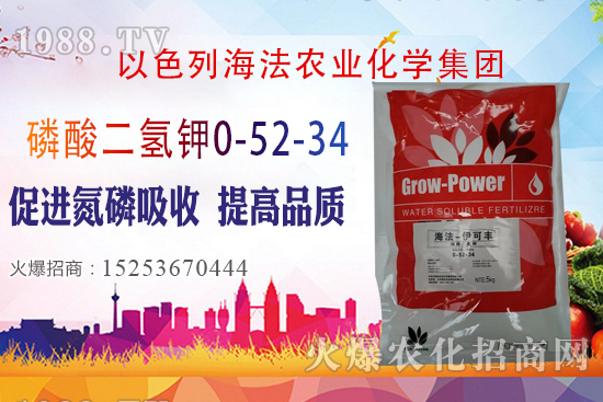 2020��10��28�����؃r(ji��)��(w��n)�����������؃r(ji��)�����(b��o)��