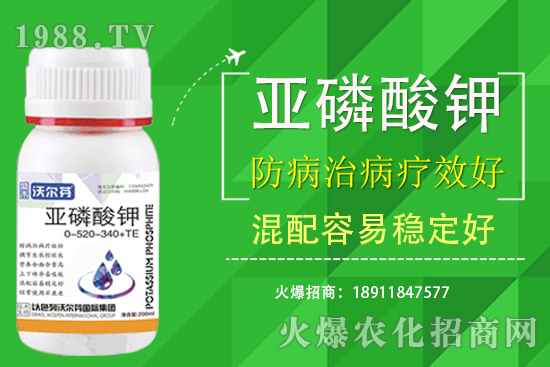 �������Ҫ��������ʲô������֮�g��ʲô�Pע��