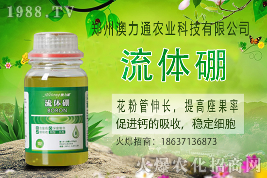 ⛷ʃr����m(x��)���q��2020-10-30����(n��i)⛷ʃr���rһ�[