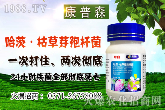 С���r��ֹ���ط�(w��n)��С���r���ܝq���٣�