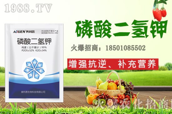 ����ʩ�D�ʺ�̎����Щ����Щ����Ҫʩ���D��ԓ��ôʩ��