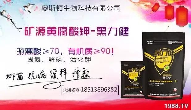 大蒜什么時間播種?注意事項有哪些?各地大蒜種植時間表!