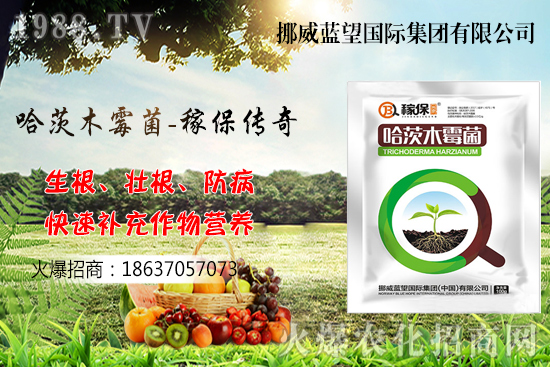 �ի@���С����΃�(ch��)���أ�С����(ch��)���P(gu��n)�I�c(di��n)������