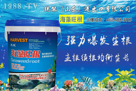 С���r(ji��)��󷶇��ϝq���A(y��)Ӌ(j��)С���r(ji��)��ͻ��1.25Ԫ/��