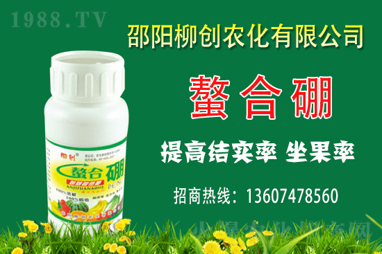 2020��11��16�պ������¼��󶹃r(ji��)������