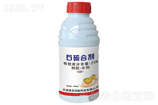 ��ù���������r��11.19��