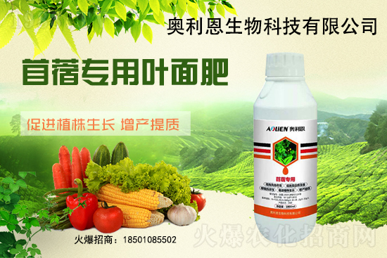 ��ޣԽ������ôʩ����ޣ��ʩ�ʹ���