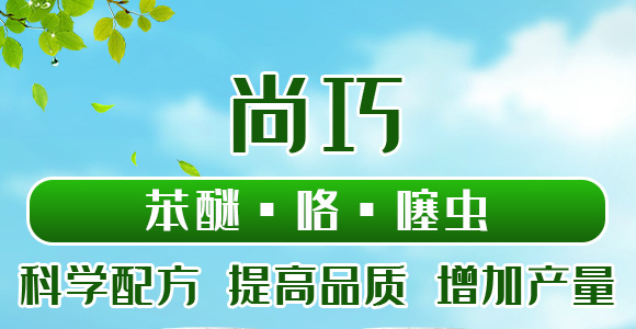 22%���ѡ��������x(ch��ng)-����-��(gu��)�˸�_01