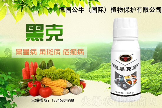 �|��������3Ԫ/�����11��28�մ󶹃r(ji��)������