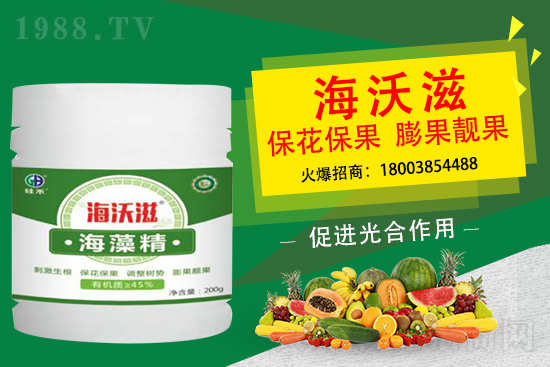 造成草莓果小是什么因素?怎么促進草莓膨果呢?