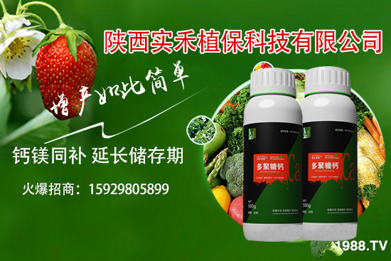 ���t�����~��ʲôԭ�������t�����~���δ�ʩ����Щ��