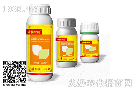 2020.11.05���S�������x���r��