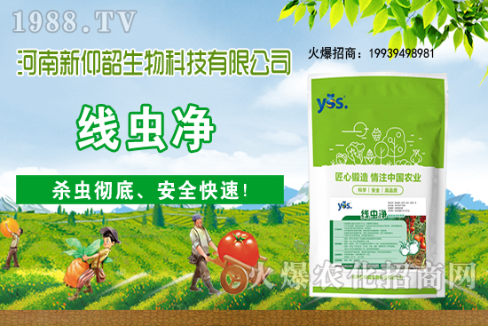 多肉植物該怎么澆水?多肉植物澆水要注意哪些問(wèn)題呢?