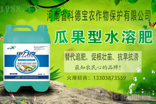 �����M��Ě��ʲô�r�����������������x�M��Ě����