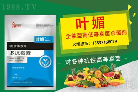 ����������(y��n)��̫�y�p������p�ɽ�Q��