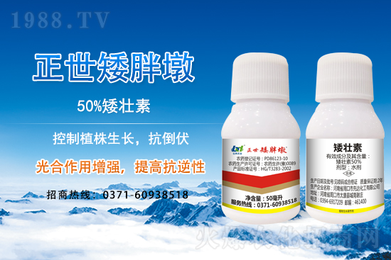 С����ǰ���L��ʲôΣ������ȡʲô��ʩ����Ч��ͽ�L��