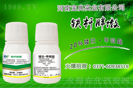 С����ǰ���L��ʲôΣ������ȡʲô��ʩ����Ч��ͽ�L��