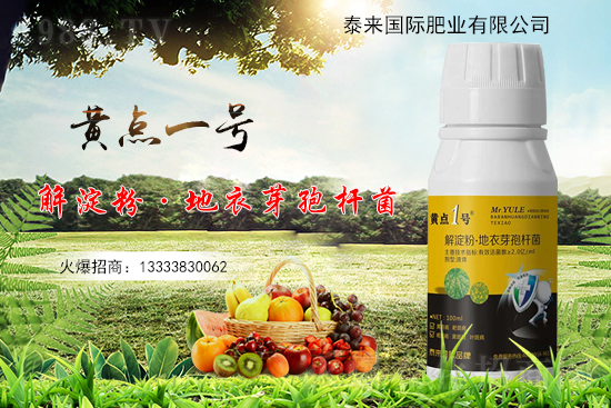 �S���~Ƭ��С�S�c(di��n)����ʲô�������η�������Щ��