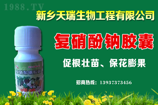 ���[һ�����ܮa(ch��n)���ٽ������[�r(ji��)�����ϝq��