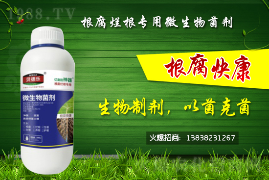 ΢������������θ�����������ô�x����