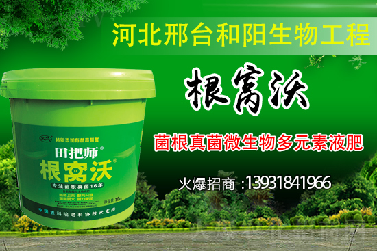 ��Щ��������������������ȡʲô��ʩ���Է�����