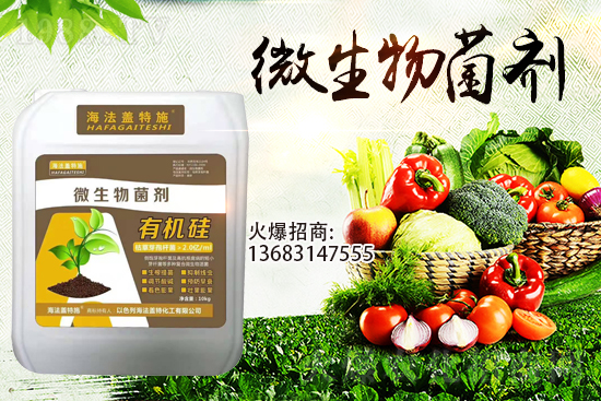 �������u��������m(x��)�͜�����������Ҫ�c(di��n)��