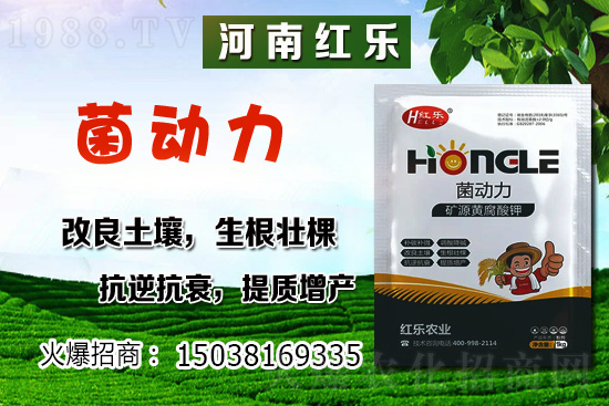 12�·��ܷNʲô�߲��������߲˷Nֲ����Щ���ɣ�