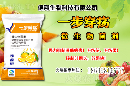 ���a(ch��n)�󶹃r��(w��n)���е���2020-12-21�����������ֵ؅^(q��)�����飡